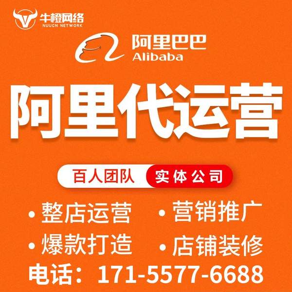 大连电商代运营