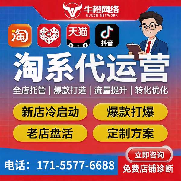 大连电商代运营