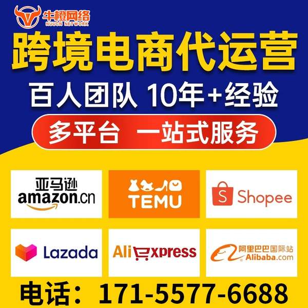 大连电商代运营