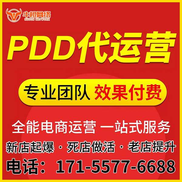 大连电商代运营