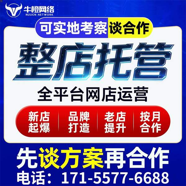大连电商代运营
