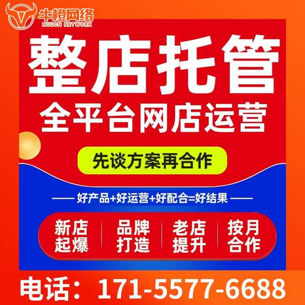 大连电商代运营