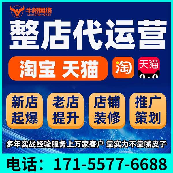 大连电商代运营