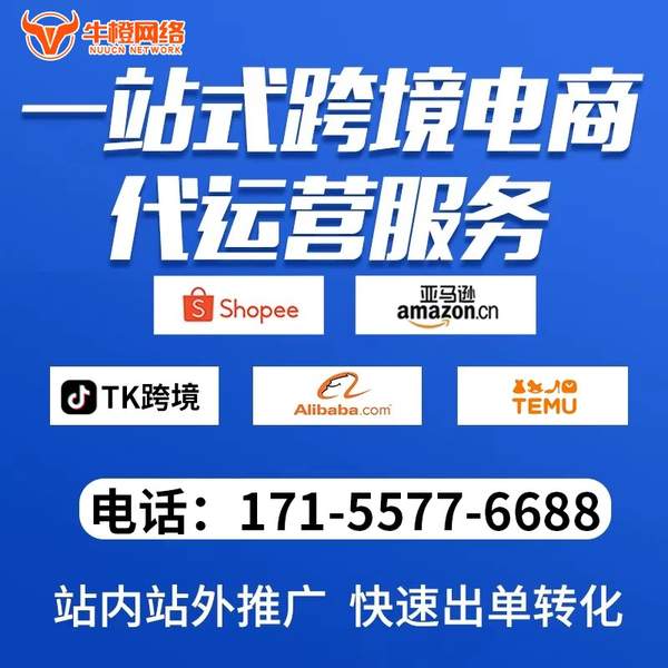 大连电商代运营