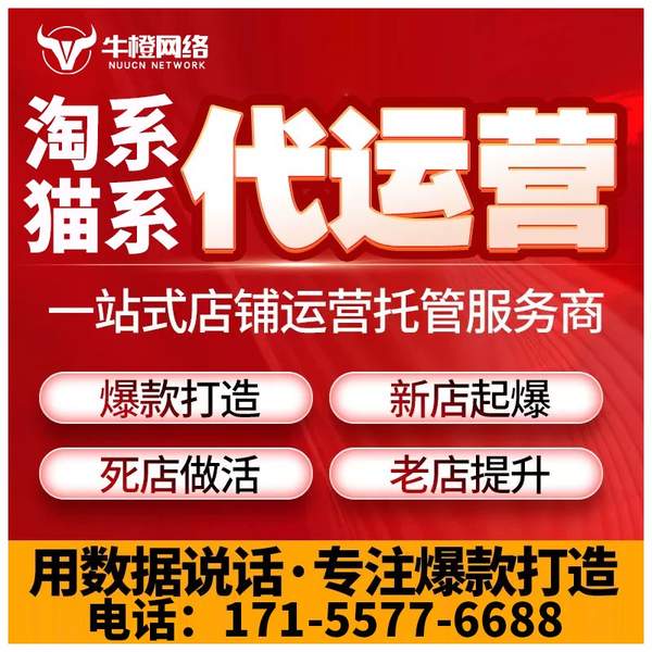 大连电商代运营